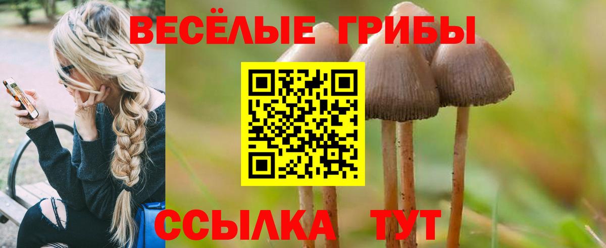 Галлюциногенные грибы мухоморы  Вход с VPN  Псилоцибиновые грибы Magic Shrooms  Набережные Челны 